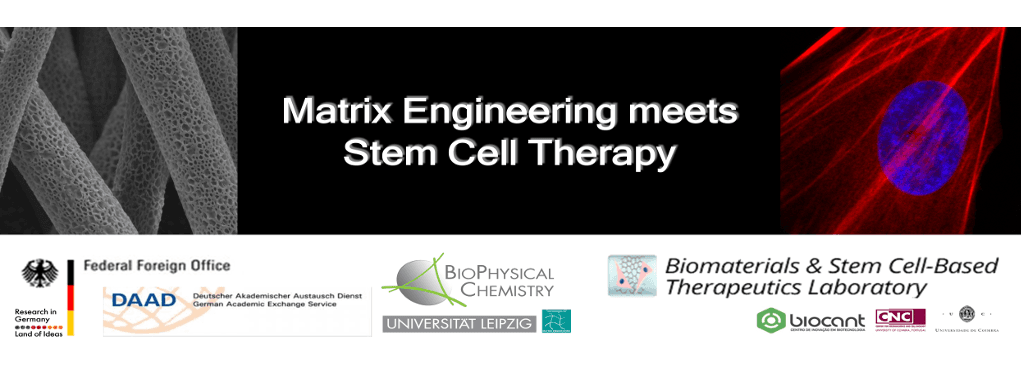 Workshop “Matrix Engineering Meets Stem Cell Therapy”