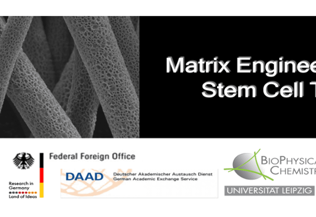 Workshop “Matrix Engineering Meets Stem Cell Therapy”